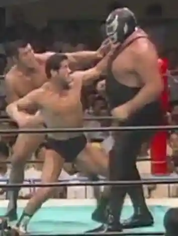 法善寺(埼玉県)