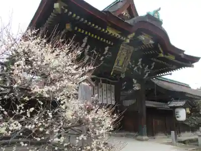 北野天満宮(京都府)