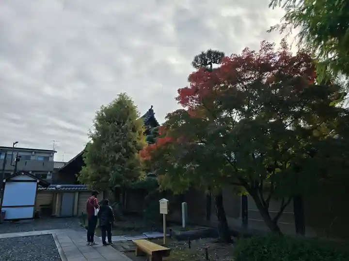 蓮華王院(三十三間堂)(京都府)