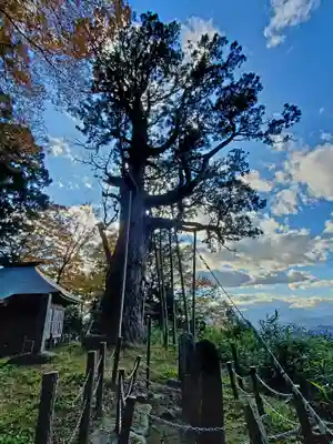 木幡山隠津島神社(二本松市)(福島県)