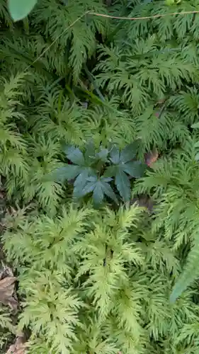 宝蔵寺(京都府)