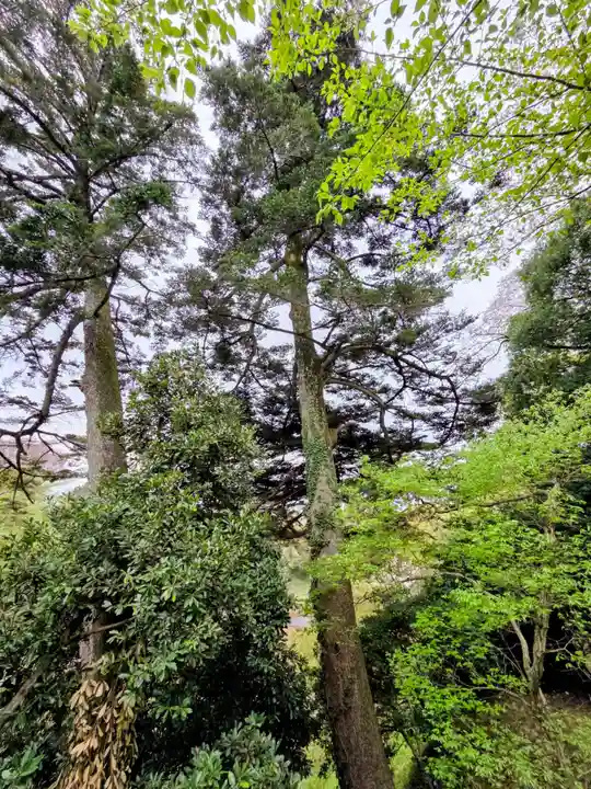 熊野神社(神奈川県)