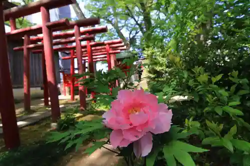 愛宕神社の庭園