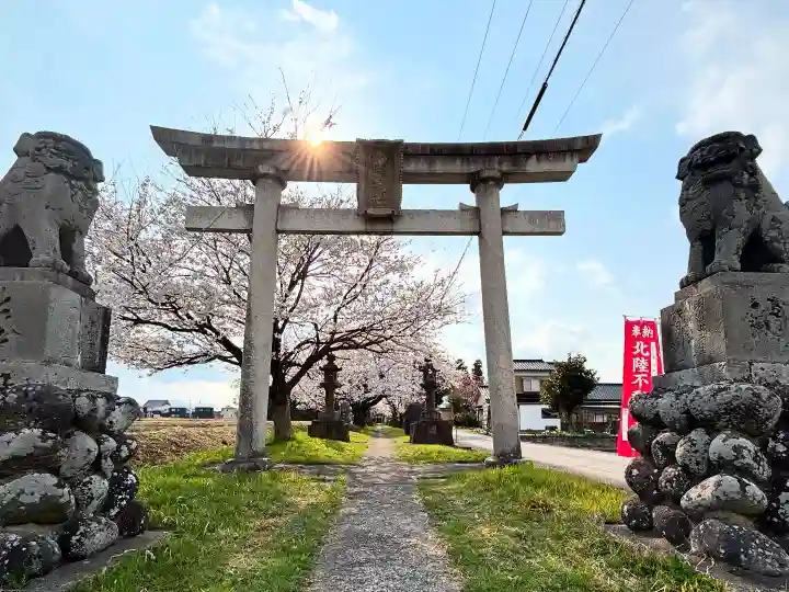 刀尾神社の{uncategorized: "未分類", other: "その他", undefined: "問題あり", building: "その他建物", grave: "お墓", sacred_gate: "鳥居", guardian: "狛犬", statue: "像", buddha: "仏像", history: "歴史", nature: "自然", garden: "庭園", animal: "動物", pagoda: "塔", temizu: "手水舎", mountain_gate: "山門・神門", sanctuary: "本殿・本堂", subordinate: "末社・摂社", art: "芸術", scenery: "景色", jizo: "地蔵", ema: "絵馬", goshuin: "御朱印", omikuji: "おみくじ", items: "授与品その他", amulet: "お守り", goshuincho: "御朱印帳", eats: "食事", festival: "お祭り", votive_dance: "神楽", shichigosan: "七五三参", wedding: "結婚式", experience: "体験その他", initially: "初詣", around: "周辺", anti_infection: "感染症対策"}
