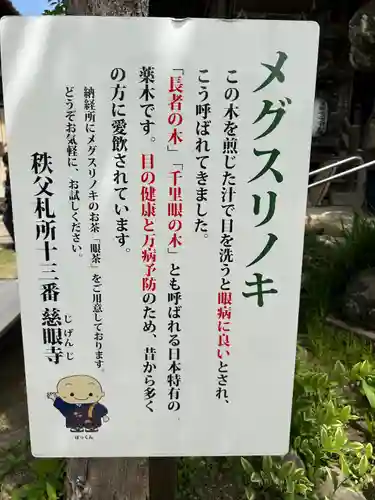 秩父札所十三番 慈眼寺の自然