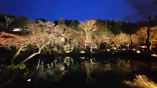 高台寺（高台寿聖禅寺・高臺寺）(京都府)