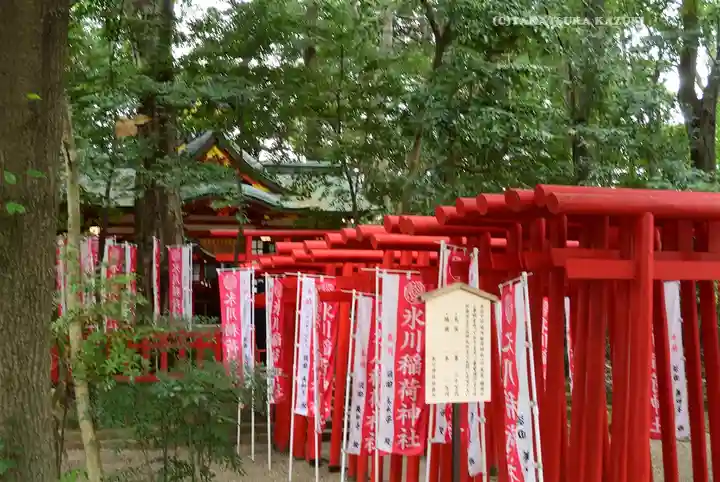 武蔵一宮氷川神社(埼玉県)