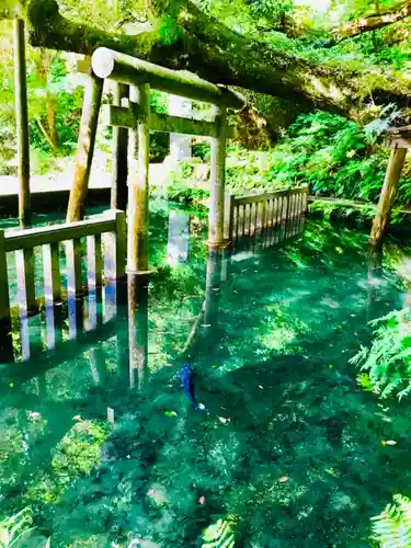 鹿島神宮(茨城県)