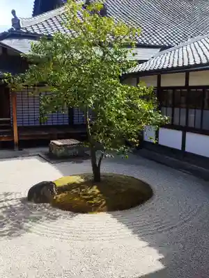 建仁寺(建仁禅寺)の庭園