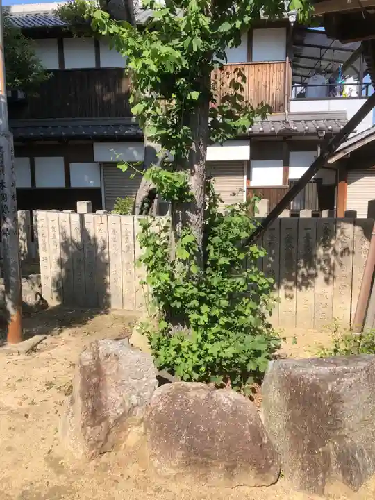波多神社の自然