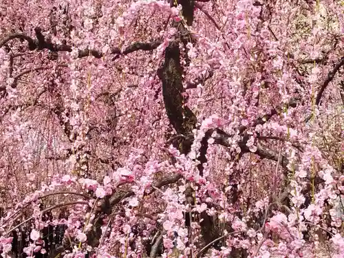城南宮(京都府)