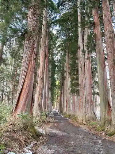 戸隠神社奥社(長野県)