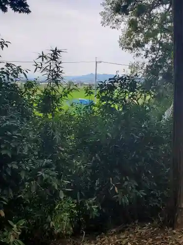 八幡宮 (上羽田町)(栃木県)