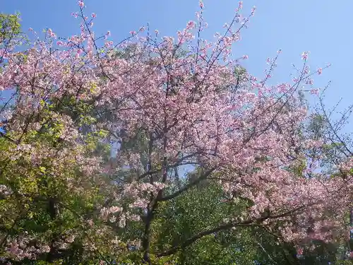 鶴岡八幡宮の自然