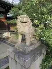 熊野神社の狛犬