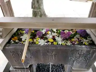 鳩森八幡神社の手水舎