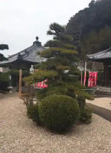 吉祥寺の庭園