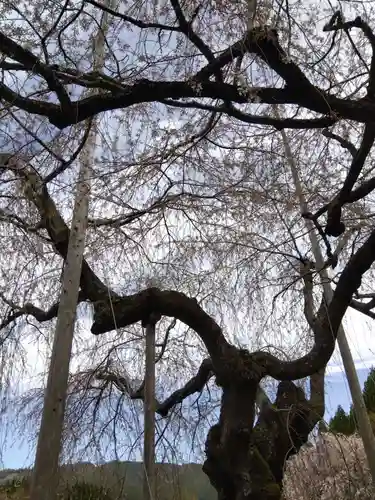 福徳寺(京都府)
