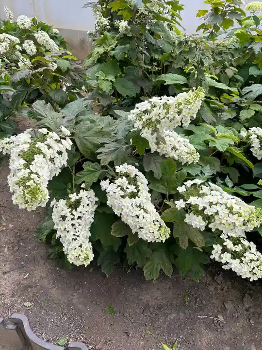 能護寺(埼玉県)