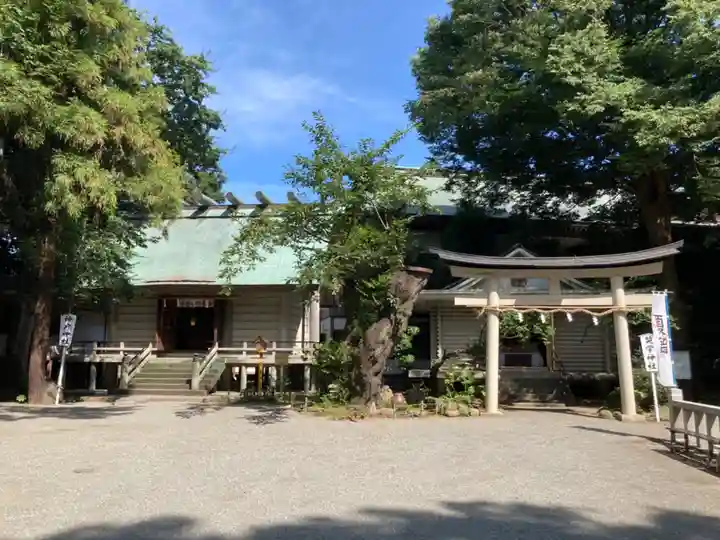 前鳥神社(神奈川県)