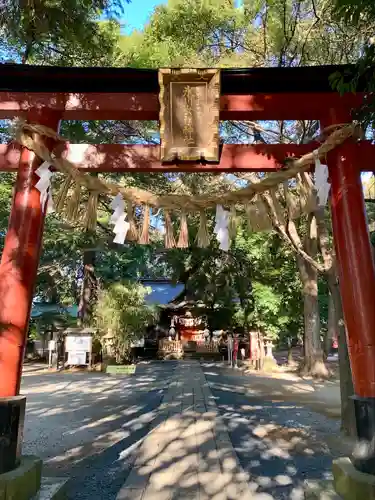 氷川女體神社(埼玉県)