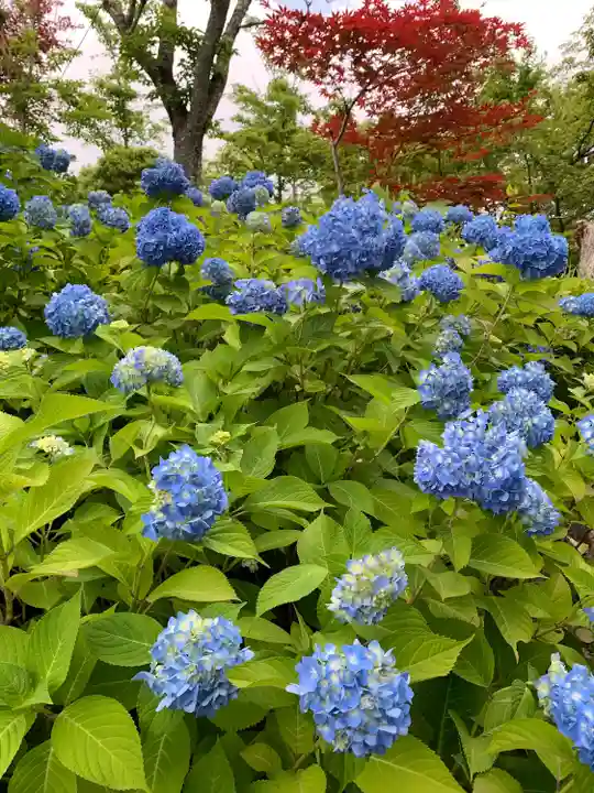 大國神社(宮城県)