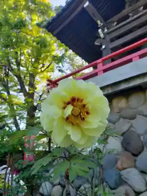 愛染院(東京都)