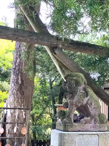 玉崎神社(千葉県)