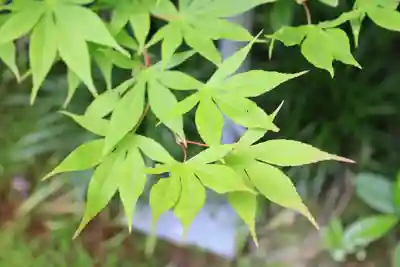 養徳院(京都府)
