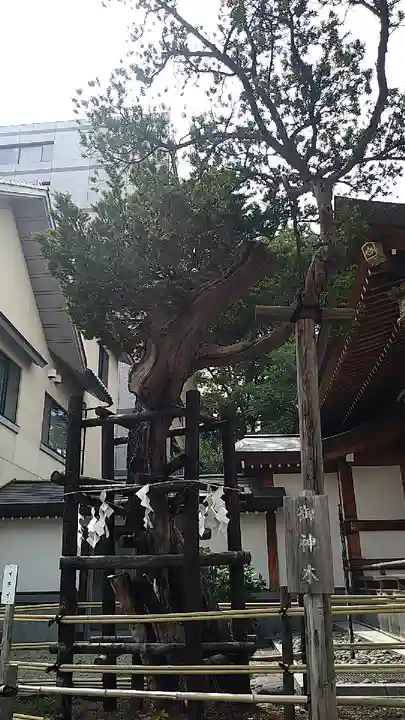 歌懸稲荷神社の自然