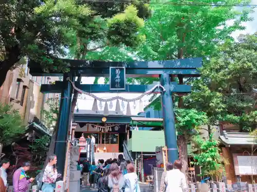 菊名神社の鳥居