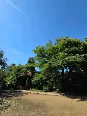 子安稲荷神社(東京都)