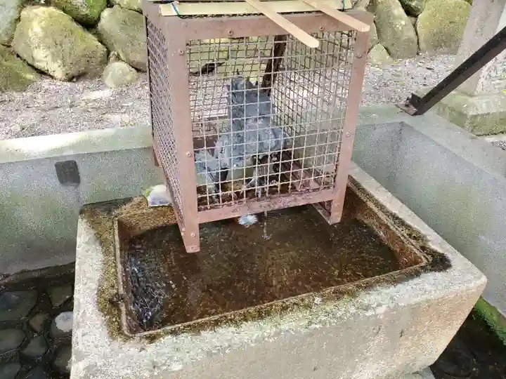 菅田神社の手水舎
