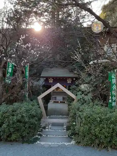 阿佐ヶ谷神明宮(東京都)