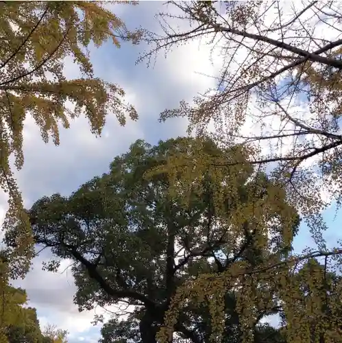 葛飾八幡宮の自然