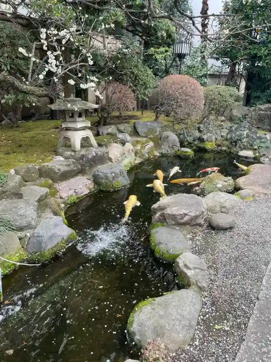 正念寺の{uncategorized: "未分類", other: "その他", undefined: "問題あり", building: "その他建物", grave: "お墓", sacred_gate: "鳥居", guardian: "狛犬", statue: "像", buddha: "仏像", history: "歴史", nature: "自然", garden: "庭園", animal: "動物", pagoda: "塔", temizu: "手水舎", mountain_gate: "山門・神門", sanctuary: "本殿・本堂", subordinate: "末社・摂社", art: "芸術", scenery: "景色", jizo: "地蔵", ema: "絵馬", goshuin: "御朱印", omikuji: "おみくじ", items: "授与品その他", amulet: "お守り", goshuincho: "御朱印帳", eats: "食事", festival: "お祭り", votive_dance: "神楽", shichigosan: "七五三参", wedding: "結婚式", experience: "体験その他", initially: "初詣", around: "周辺", anti_infection: "感染症対策"}
