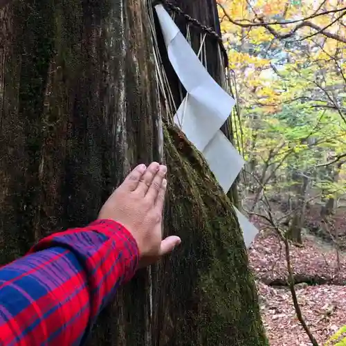 古峯神社の自然