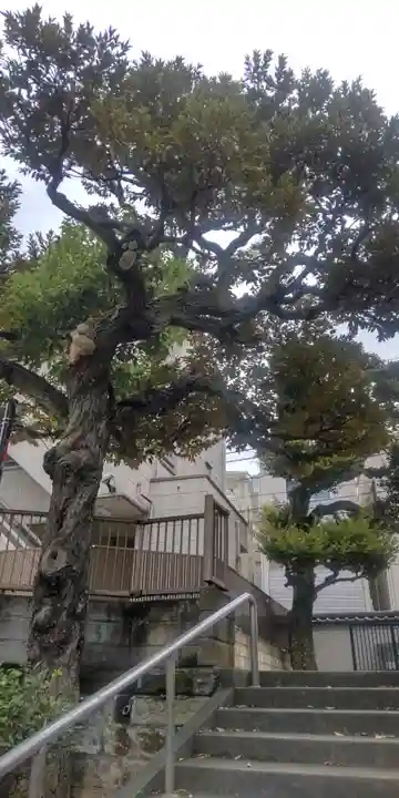 薬王寺(東京都)