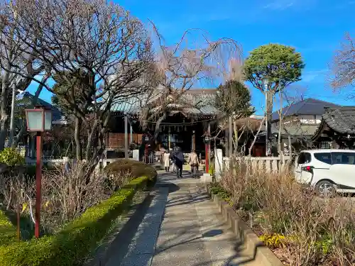 白山神社の庭園