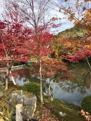 禅林寺（永観堂）の庭園