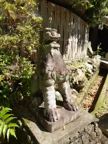 宇治神社の狛犬