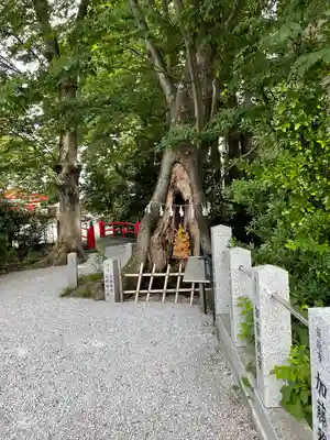 秩父今宮神社(埼玉県)
