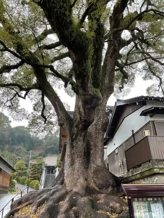 栖光院(愛知県)