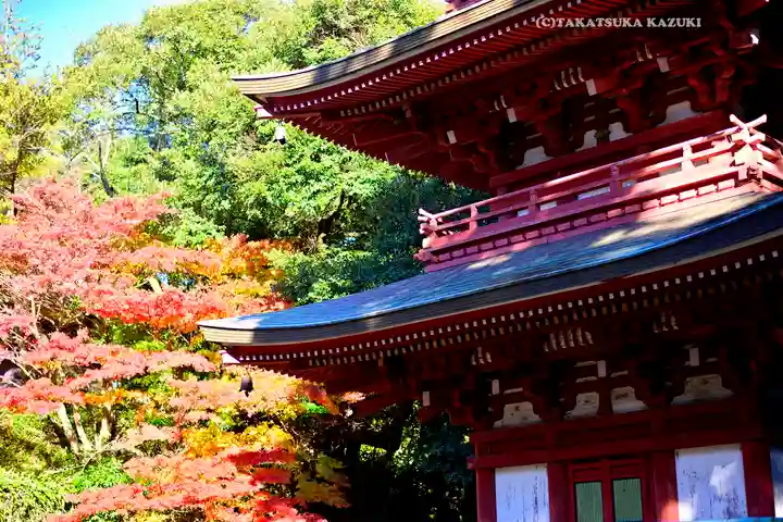 目の霊山 油山寺(静岡県)