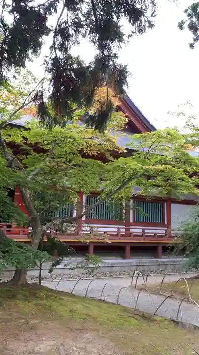 毛越寺(岩手県)