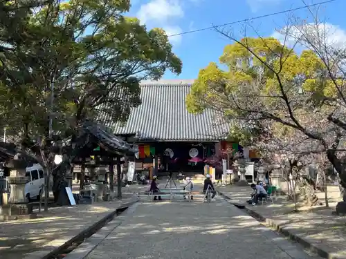 大樹寺（松安院大樹寺）(愛知県)