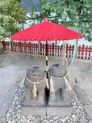 浅草神社の狛犬