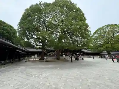 明治神宮(東京都)