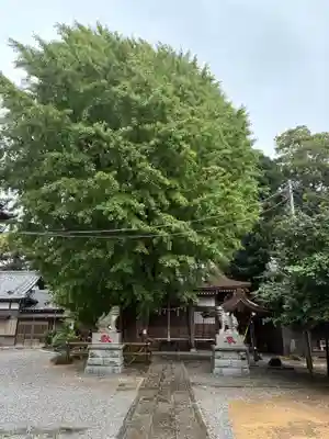 印内八坂神社(千葉県)
