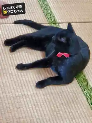 高司神社〜むすびの神の鎮まる社〜(福島県)